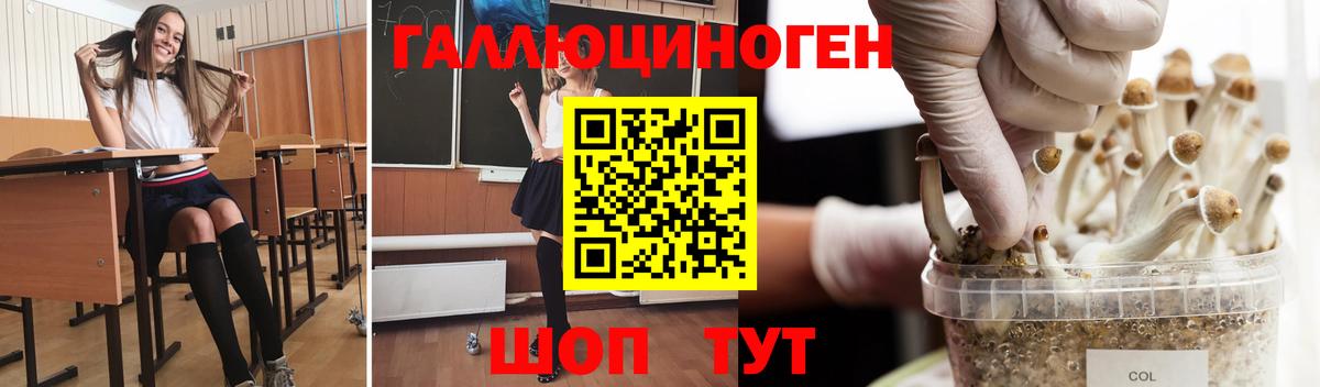 Галлюциногенные грибы Psilocybine cubensis  Вход с VPN  Октябрьский 